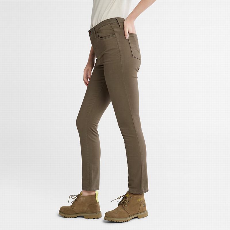 Timberland Stretch Chino Hlače Maslinasto Zelene | 94661110