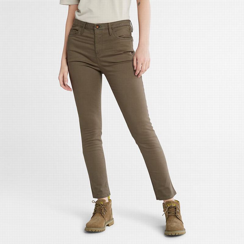Timberland Stretch Chino Hlače Maslinasto Zelene | 94661110