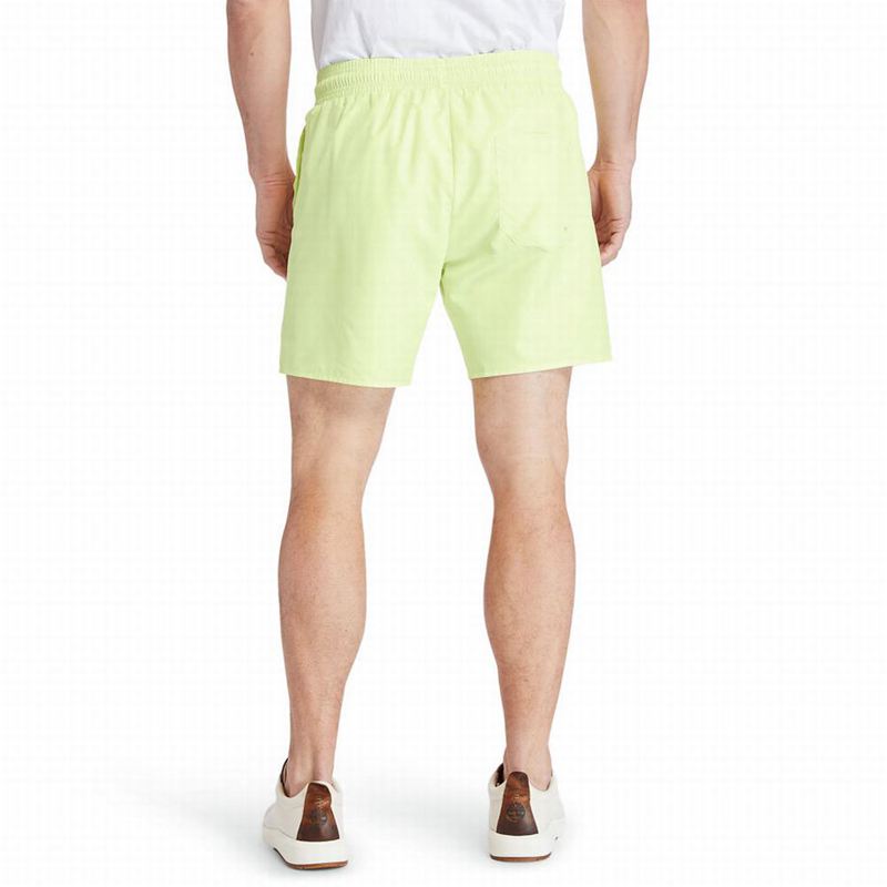 Timberland Sunapee Lake Solid-colour Swim Kratke Hlače Zelene | 99679643