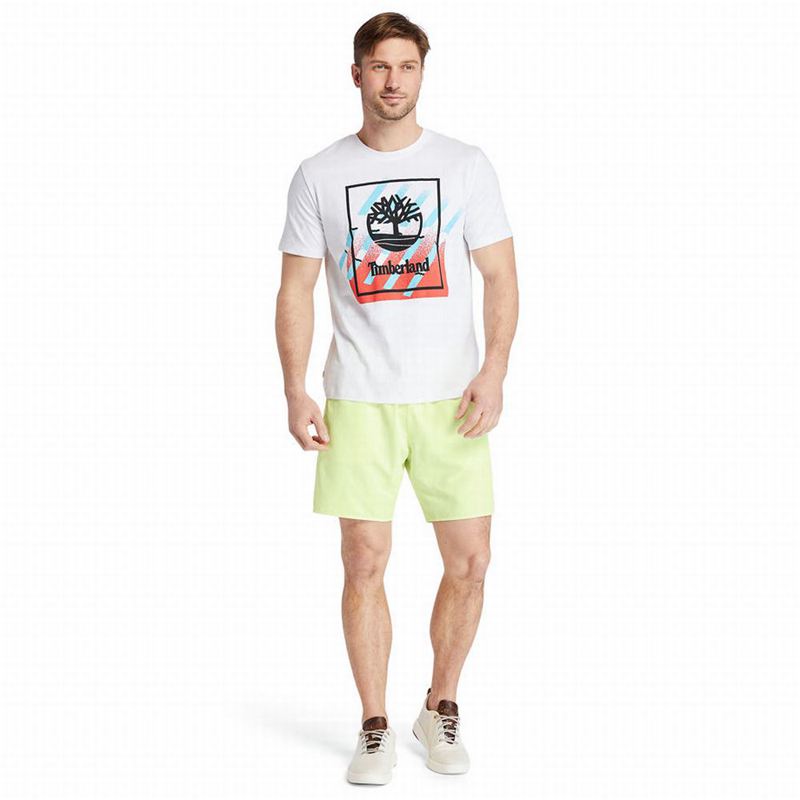 Timberland Sunapee Lake Solid-colour Swim Kratke Hlače Zelene | 99679643