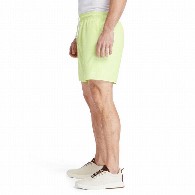 Timberland Sunapee Lake Solid-colour Swim Kratke Hlače Zelene | 99679643