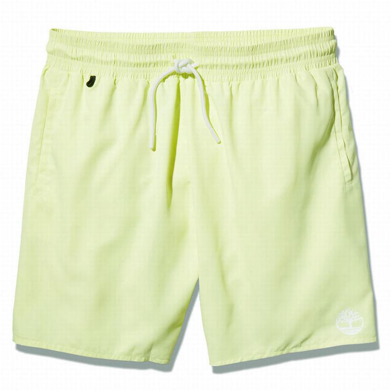 Timberland Sunapee Lake Solid-colour Swim Kratke Hlače Zelene | 99679643