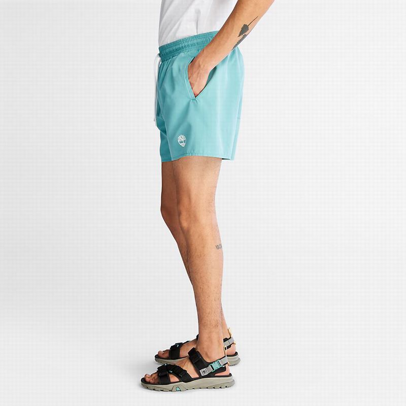 Timberland Sunapee Lake Swim Kratke Hlače Tirkizne | 72233260