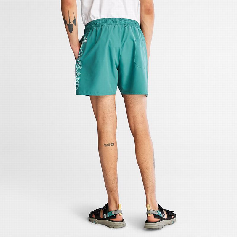 Timberland Sunapee Lake Swim Kratke Hlače Tirkizne | 92739443