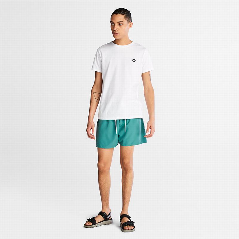 Timberland Sunapee Lake Swim Kratke Hlače Tirkizne | 92739443