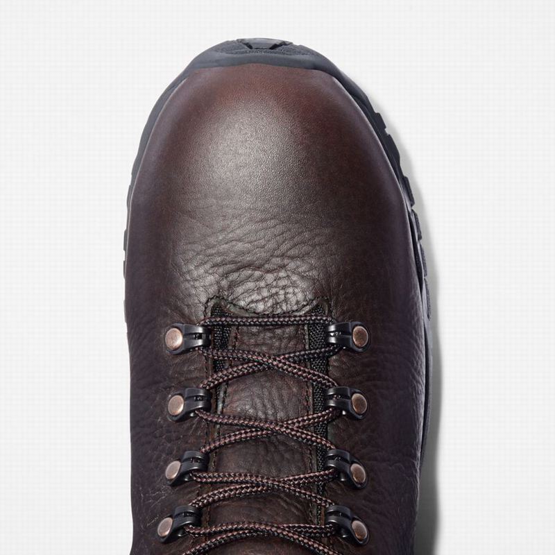 Timberland TiTAN Alloy Toe Waterproof Radne Čizme Smeđe | 88702041