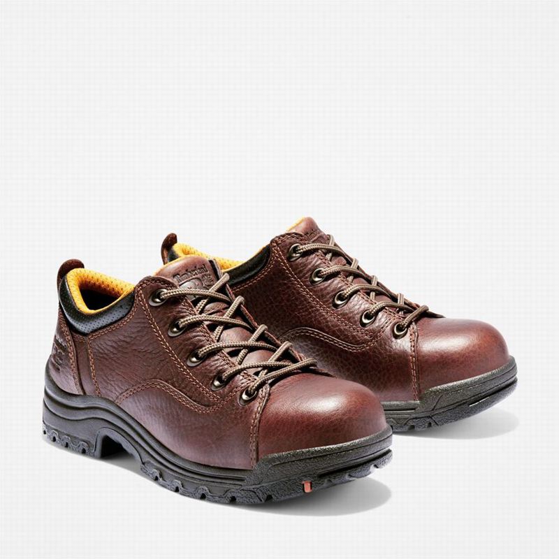 Timberland TiTAN Casual Alloy Toe Radne Cipele Smeđe | 3115056
