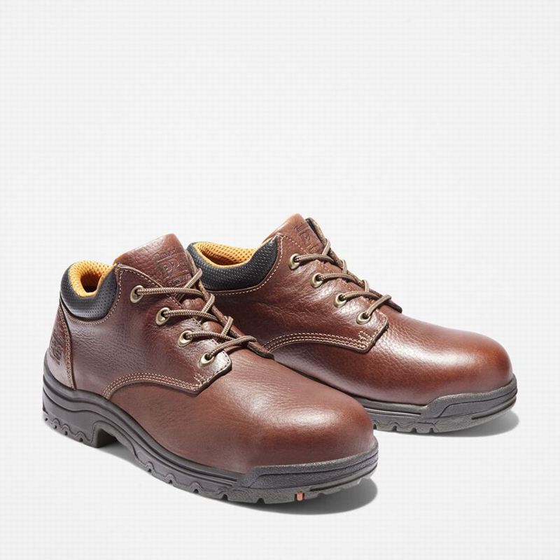 Timberland TiTAN Casual Alloy Toe Radne Cipele Bordo | 32064741