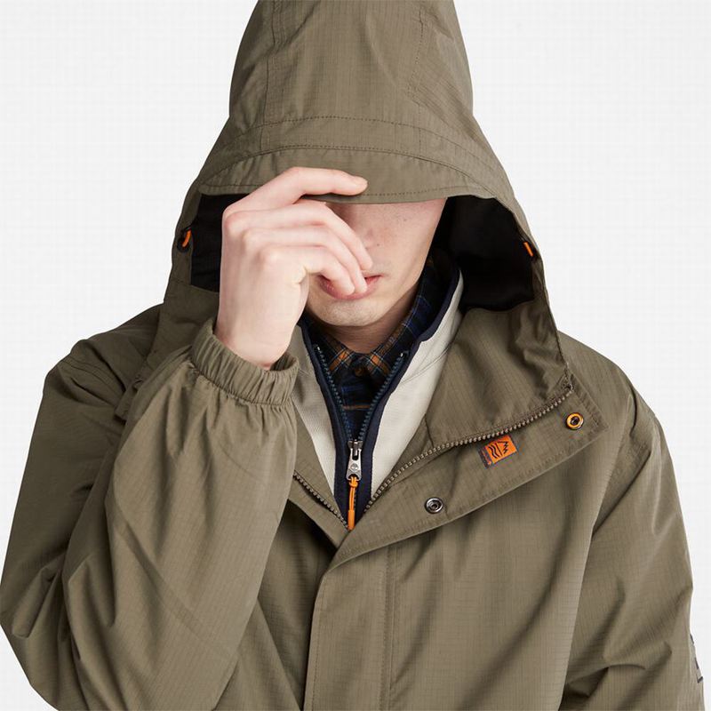 Timberland TimberloopWater-Resistant Hibrid Jakne Maslinasto Zelene | 52940324