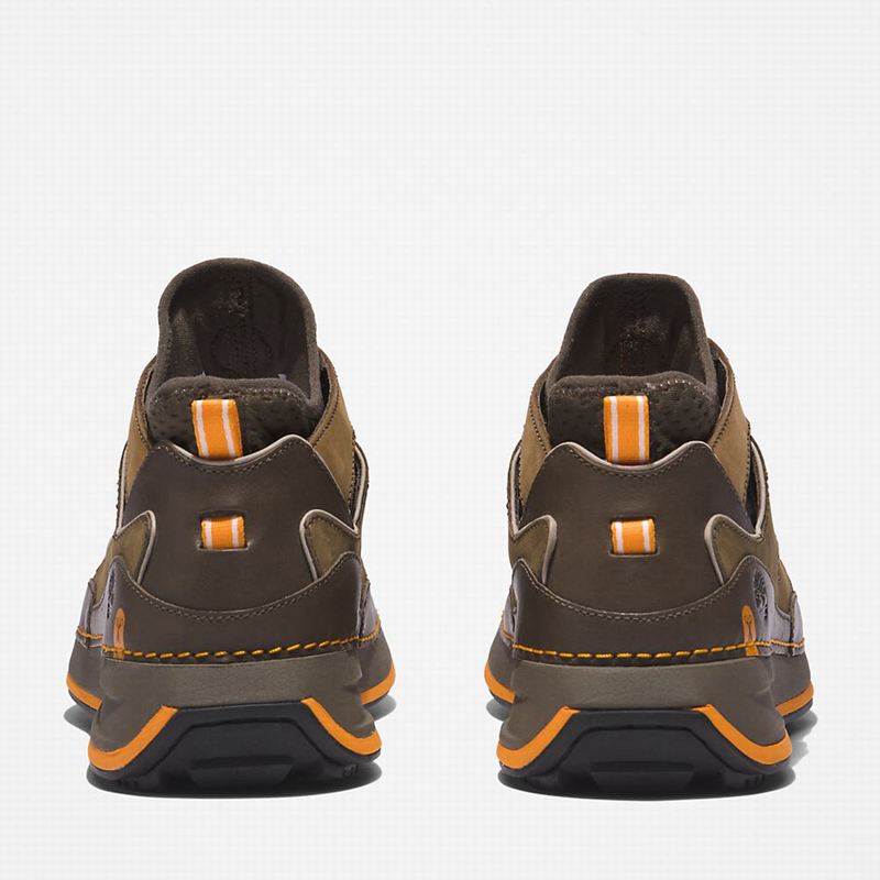 Timberland Timberloop City Planinarske Cipele Maslinasto Zelene | 83723052