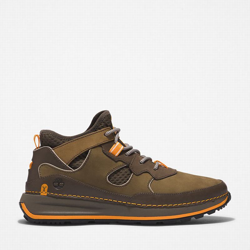 Timberland Timberloop City Planinarske Cipele Maslinasto Zelene | 83723052