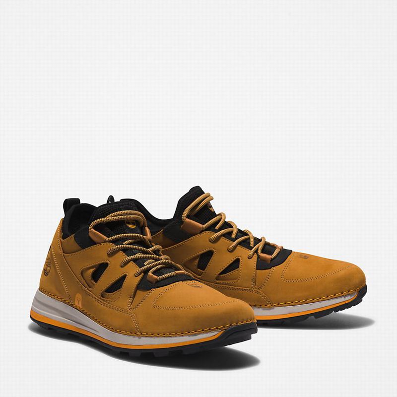 Timberland Timberloop Planinarske Cipele Smeđe | 29709236