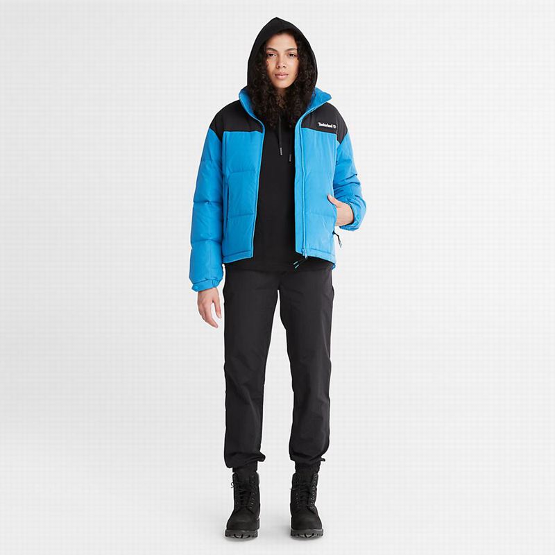 Timberland Tracksuit Bottoms Jogger Hlače Crne | 46760083
