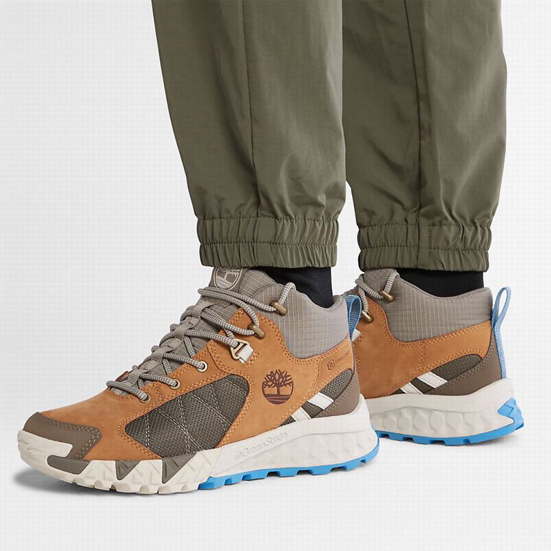 Timberland Tracksuit Bottoms Jogger Hlače Maslinasto Zelene | 93872000