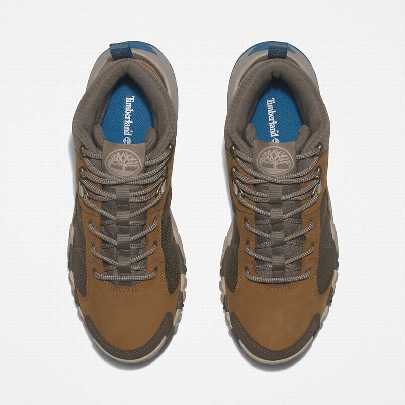 Timberland Trailquest Planinarske Cipele Smeđe | 16798154