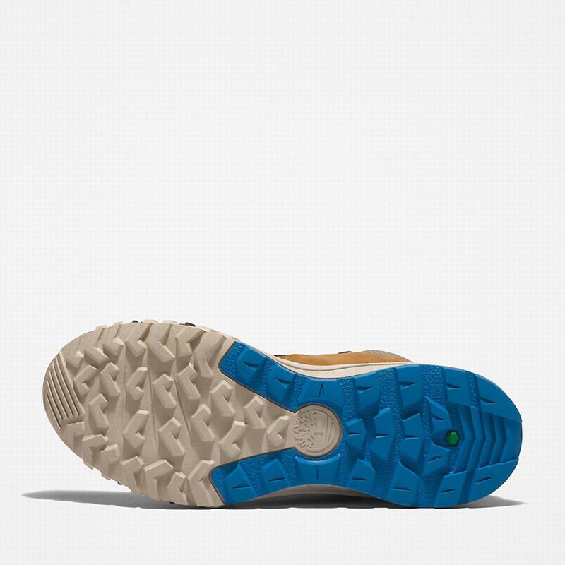 Timberland Trailquest Planinarske Cipele Smeđe | 16798154