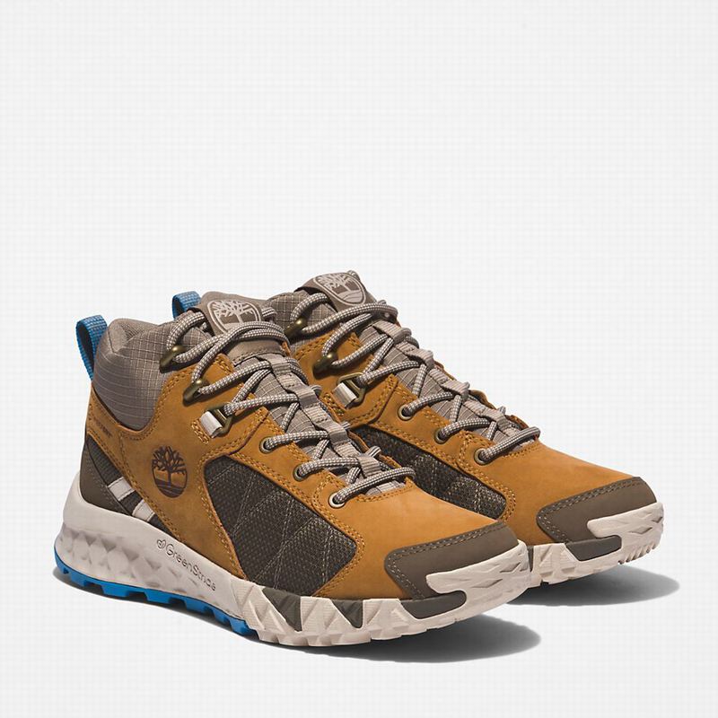 Timberland Trailquest Planinarske Cipele Smeđe | 16798154