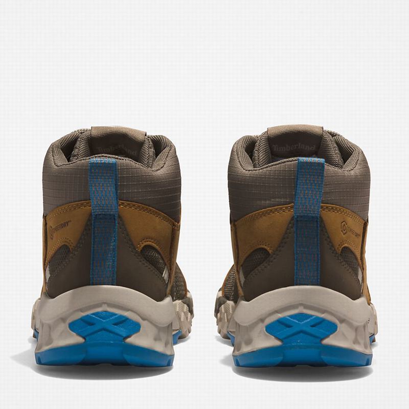 Timberland Trailquest Planinarske Cipele Smeđe | 16798154