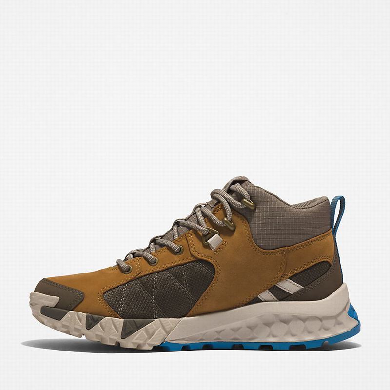 Timberland Trailquest Planinarske Cipele Smeđe | 16798154