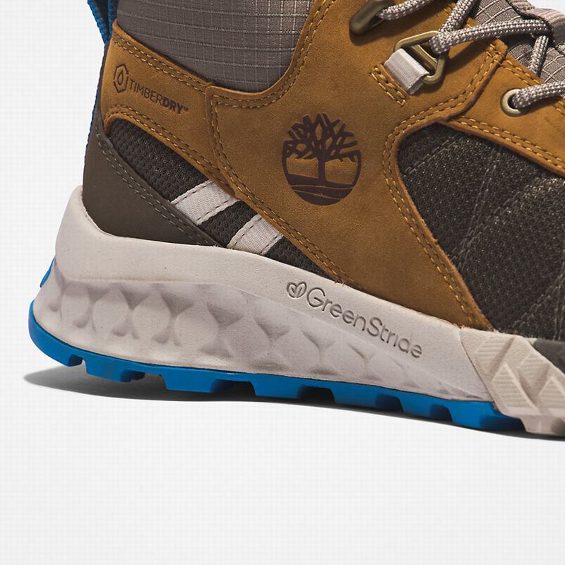 Timberland Trailquest Planinarske Cipele Smeđe | 16798154