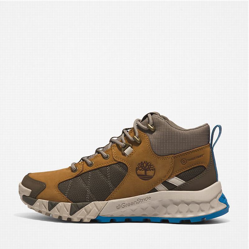 Timberland Trailquest Planinarske Cipele Smeđe | 16798154