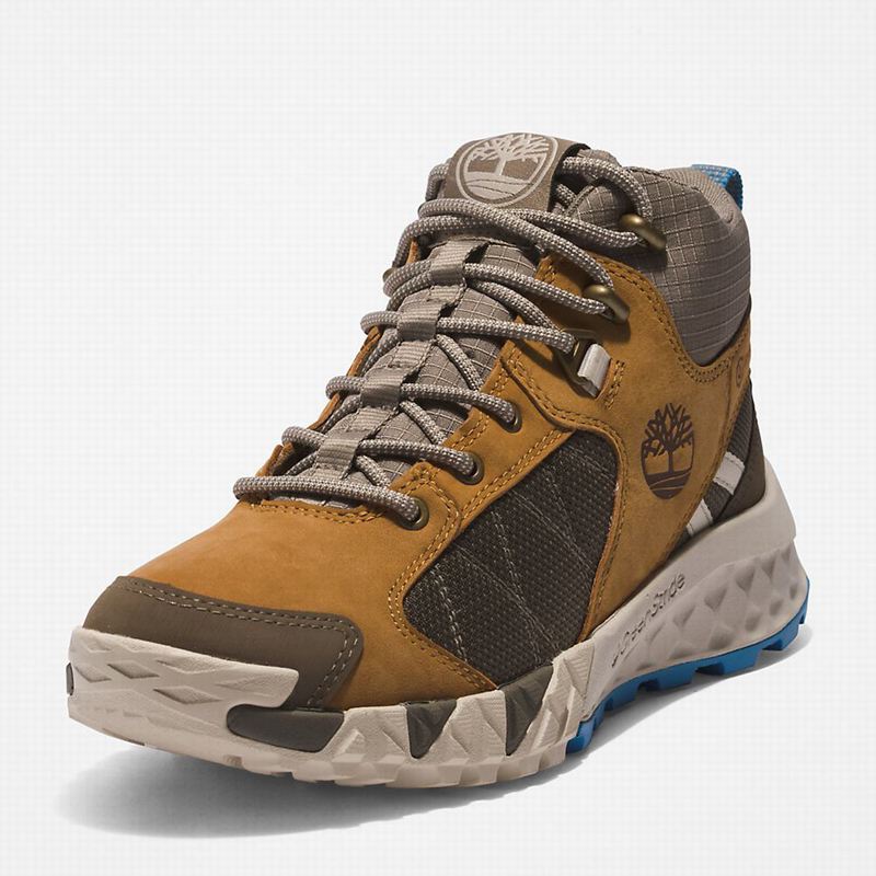 Timberland Trailquest Planinarske Cipele Smeđe | 16798154