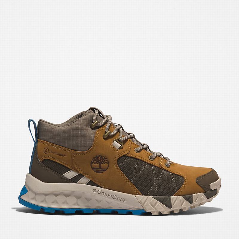 Timberland Trailquest Planinarske Cipele Smeđe | 16798154