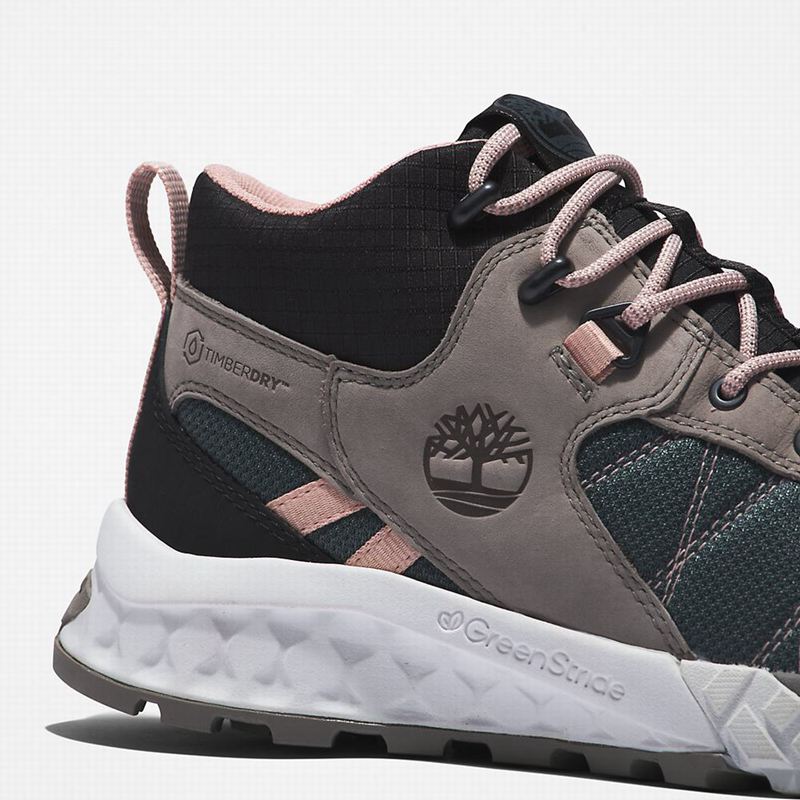 Timberland Trailquest Planinarske Cipele Sive | 20550083