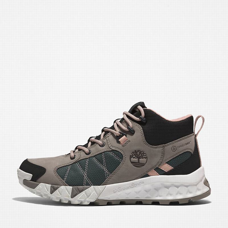 Timberland Trailquest Planinarske Cipele Sive | 20550083