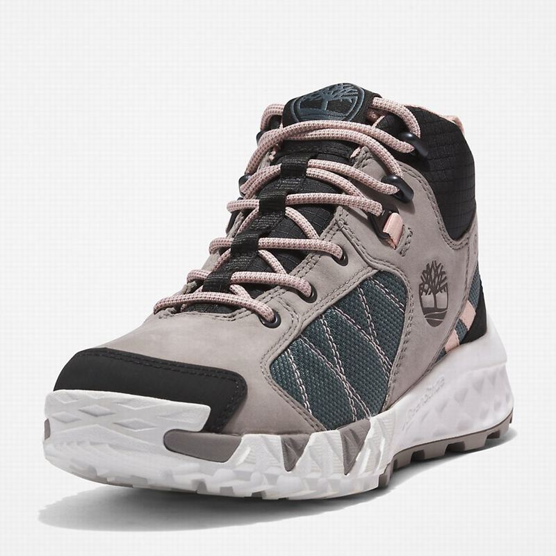 Timberland Trailquest Planinarske Cipele Sive | 20550083