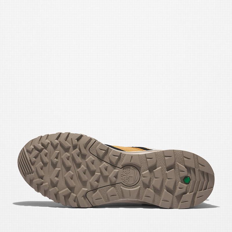 Timberland Trailquest Tenisice Crne | 64580875