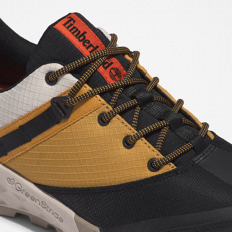 Timberland Trailquest Tenisice Crne | 64580875