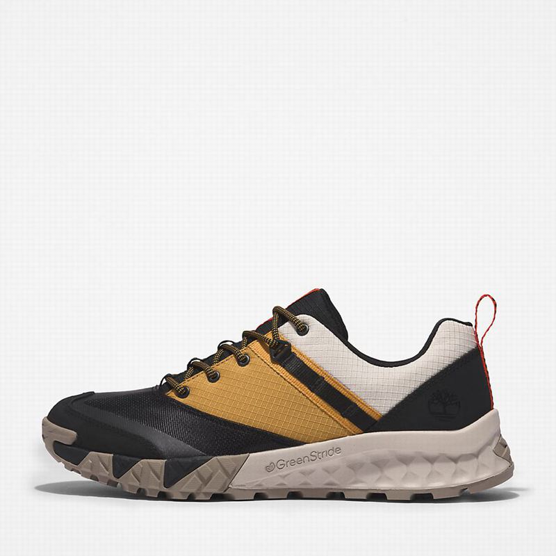 Timberland Trailquest Tenisice Crne | 64580875