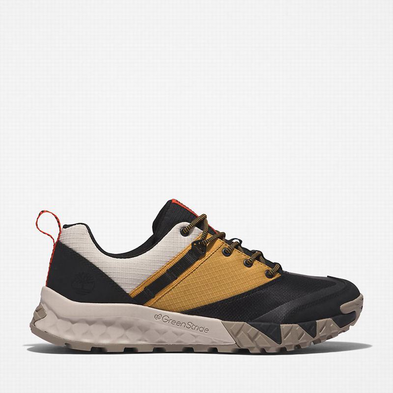Timberland Trailquest Tenisice Crne | 64580875