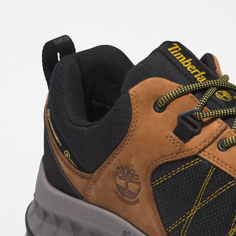 Timberland Trailquest Waterproof Cipele Za Planinarenje Crne | 82074553