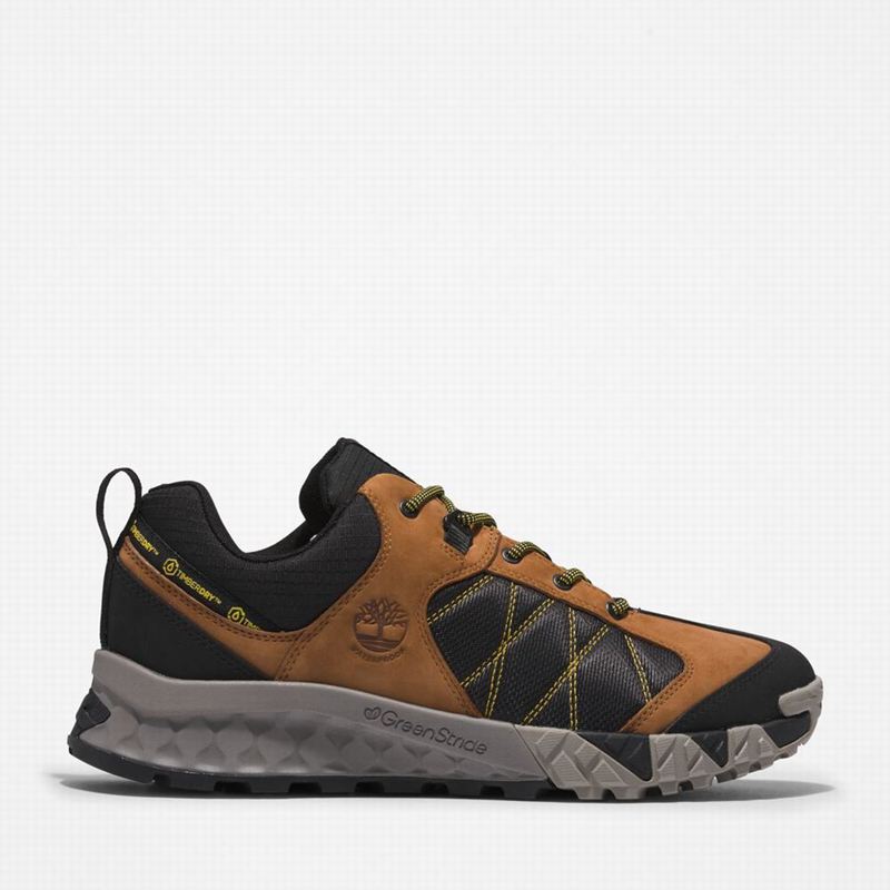 Timberland Trailquest Waterproof Cipele Za Planinarenje Crne | 82074553