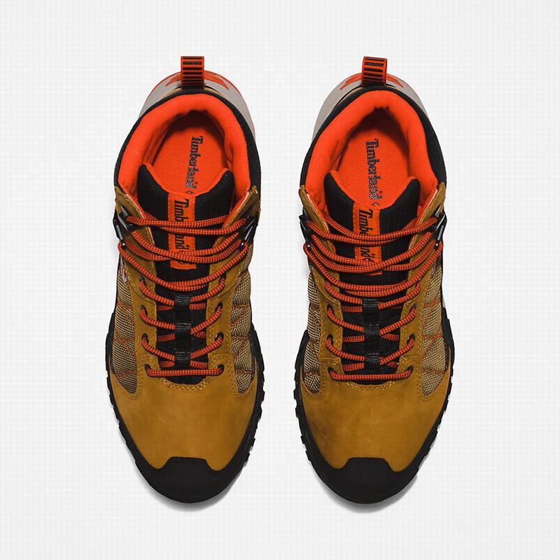 Timberland Trailquest Waterproof Planinarske Cipele Smeđe | 60863842