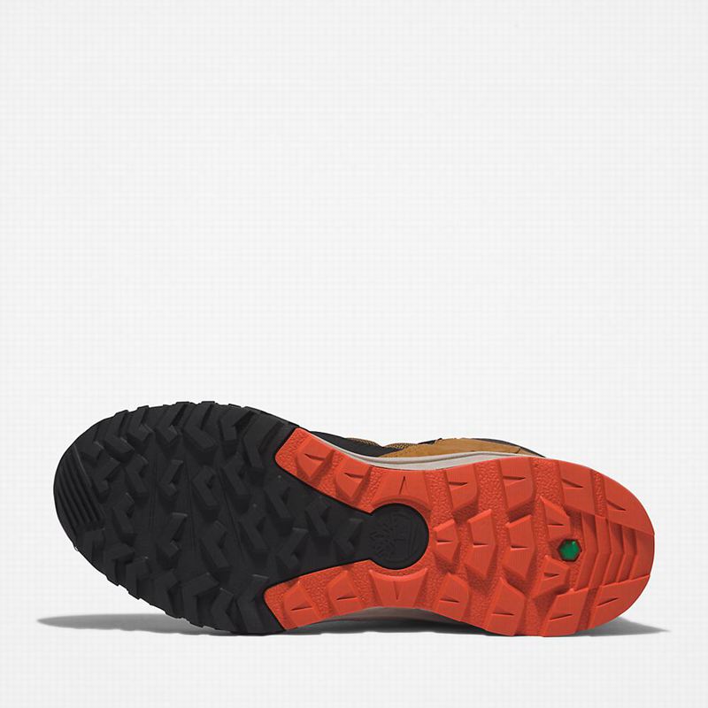 Timberland Trailquest Waterproof Planinarske Cipele Smeđe | 60863842