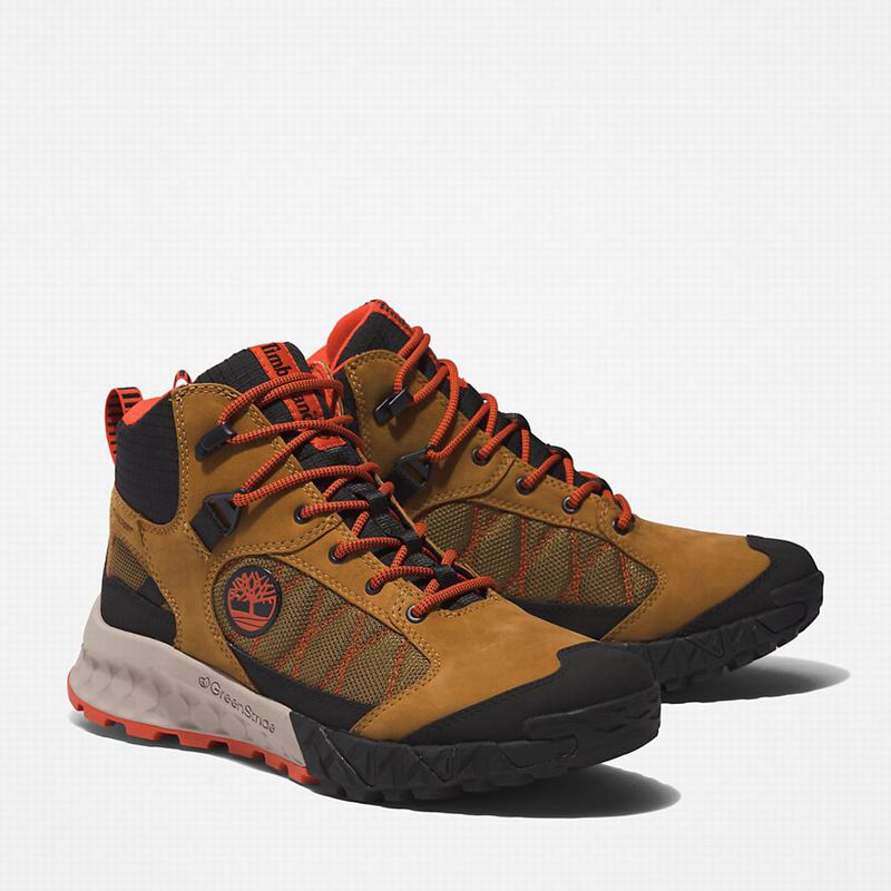 Timberland Trailquest Waterproof Planinarske Cipele Smeđe | 60863842