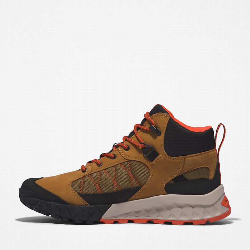 Timberland Trailquest Waterproof Planinarske Cipele Smeđe | 60863842