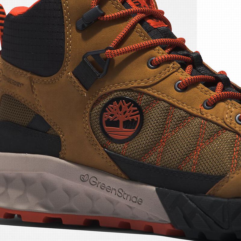 Timberland Trailquest Waterproof Planinarske Cipele Smeđe | 60863842
