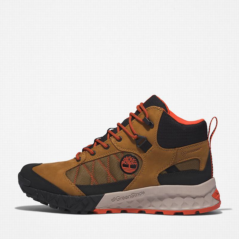 Timberland Trailquest Waterproof Planinarske Cipele Smeđe | 60863842