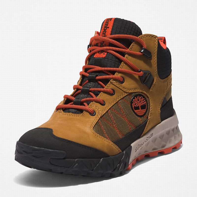 Timberland Trailquest Waterproof Planinarske Cipele Smeđe | 60863842