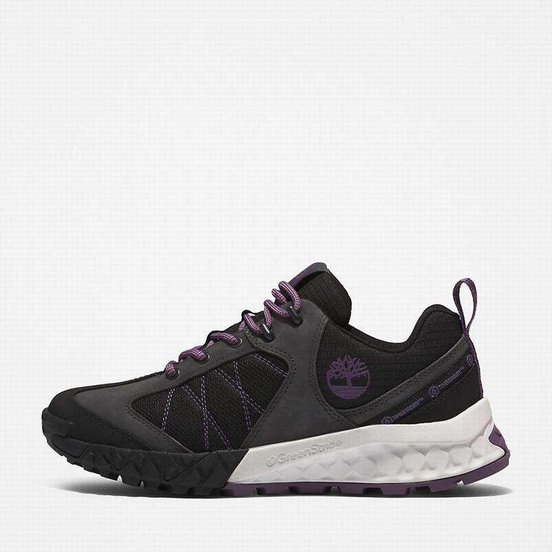 Timberland Trailquest Waterproof Planinarske Cipele Sive | 92926528