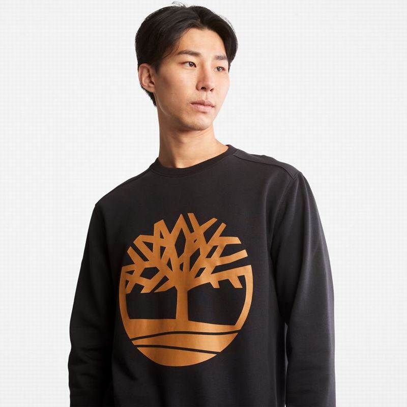 Timberland Tree Logo Crewneck Dukserice Smeđe | 32770314