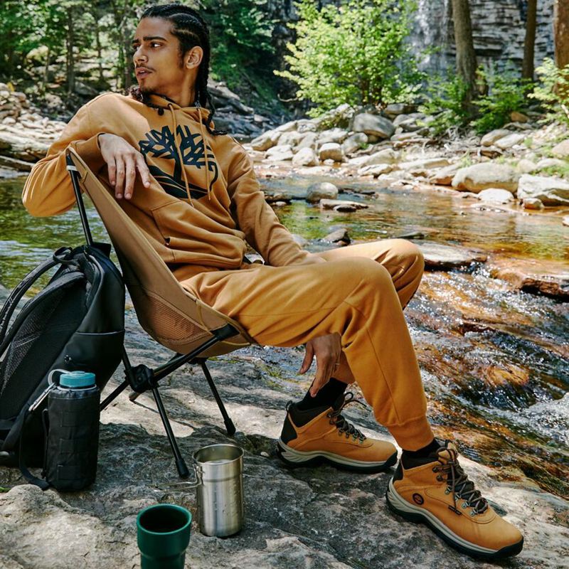 Timberland Tree-Logo Majica S Kapuljačom Crne | 15275061