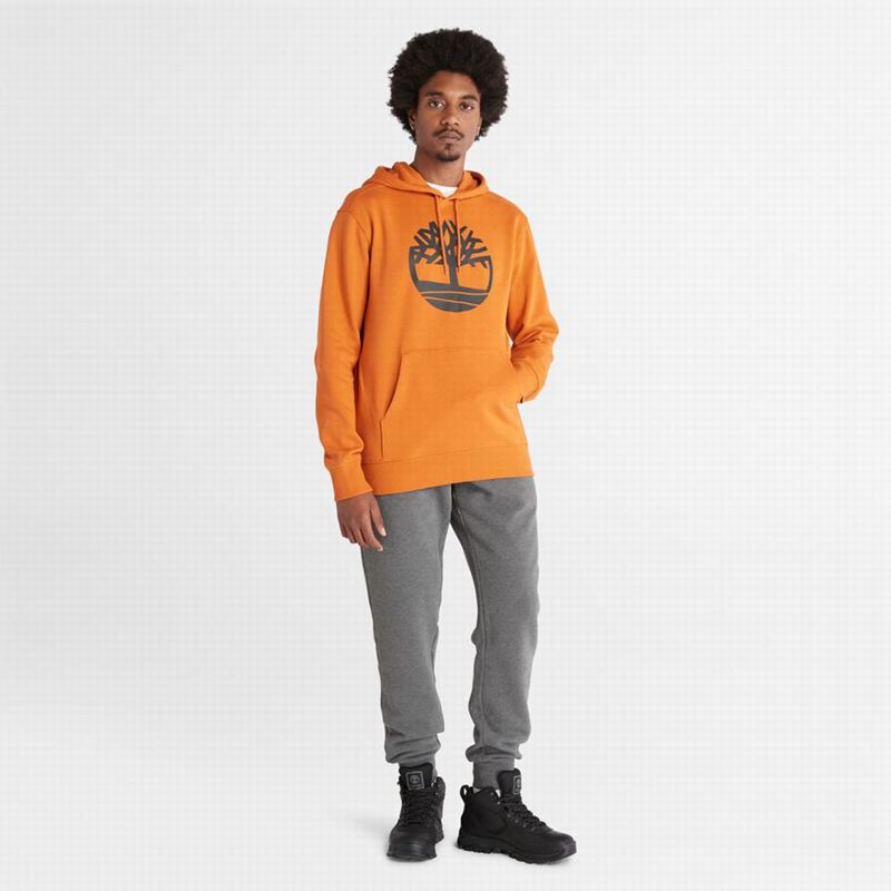 Timberland Tree-Logo Majica S Kapuljačom Narančaste | 57147998