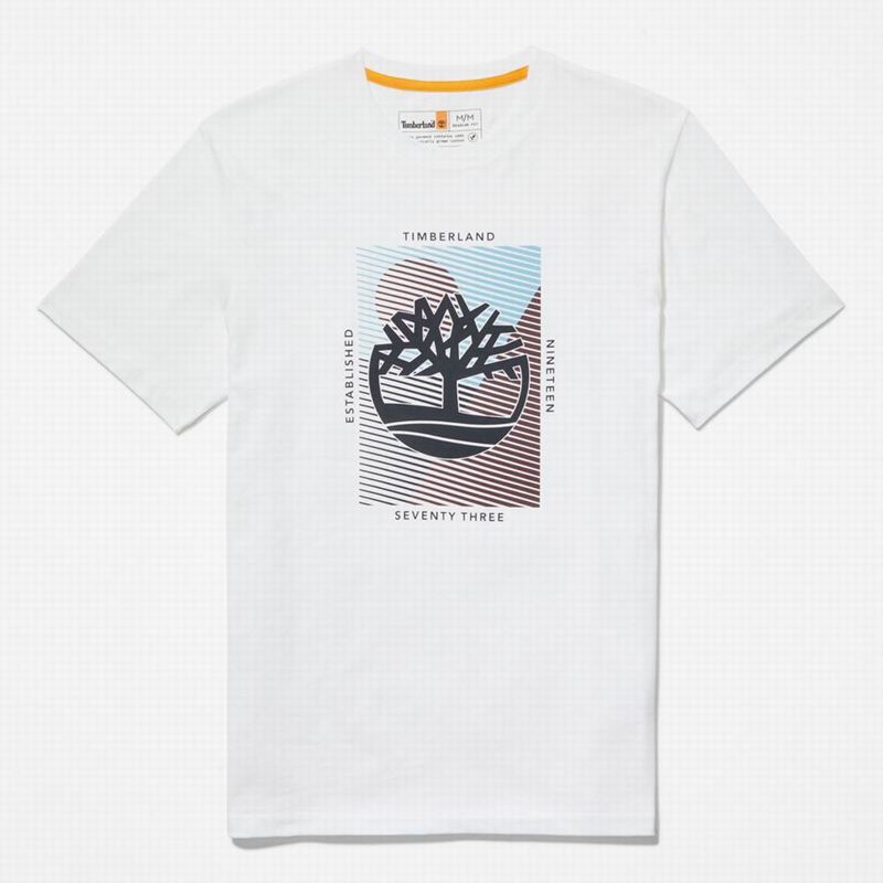 Timberland Tree Logo Majice Bijele | 82554708