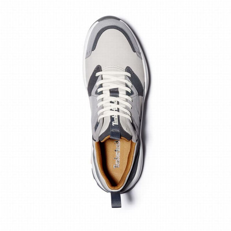 Timberland Tree Racer Koža Tenisice Sive | 51992359