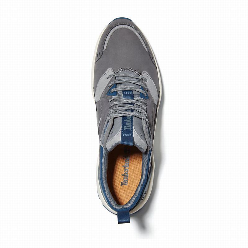 Timberland Tree Racer Koža Tenisice Sive | 90302798